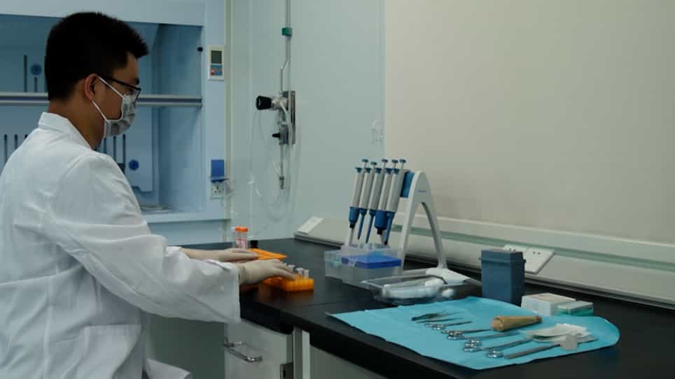 Ameliorating Osteoarthritis in Mice Using Silver Nanoparticles