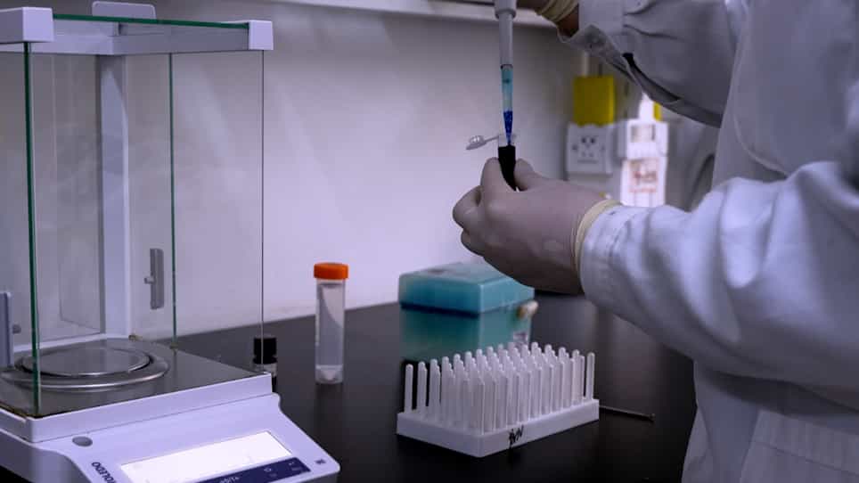 A Mouse Ear Model for Allergic Contact Dermatitis Evaluation