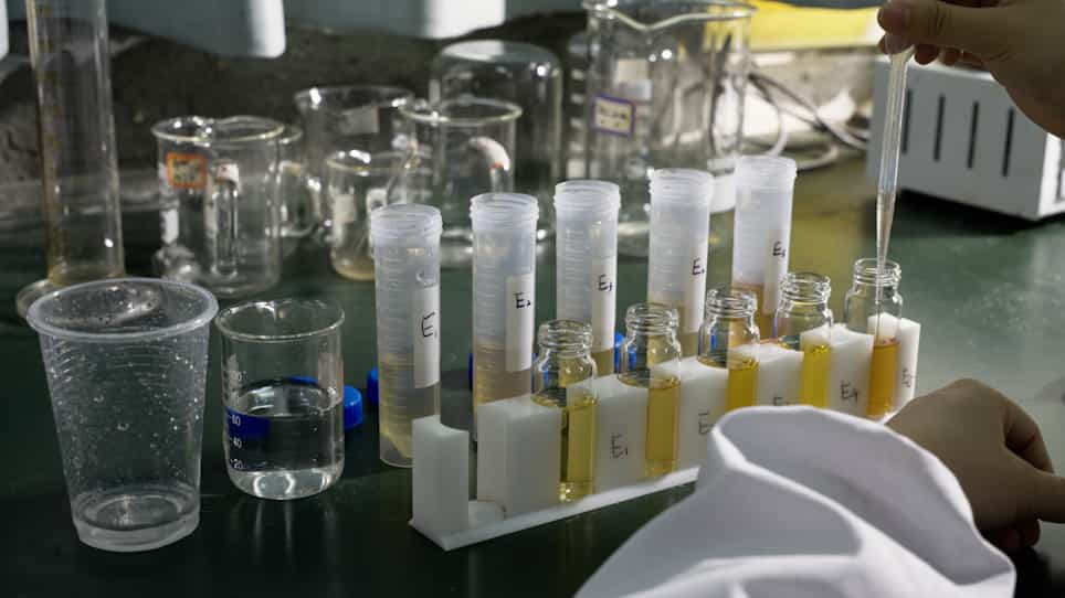 Using Multiple Light Scattering to Examine the Stability of Phyllanthus emblica L. Extracts Obtained with Different Extraction Methods