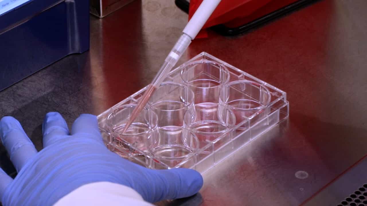 Author Spotlight: Oxygen-Independent Assays to Measure Mitochondrial Function in Mammals