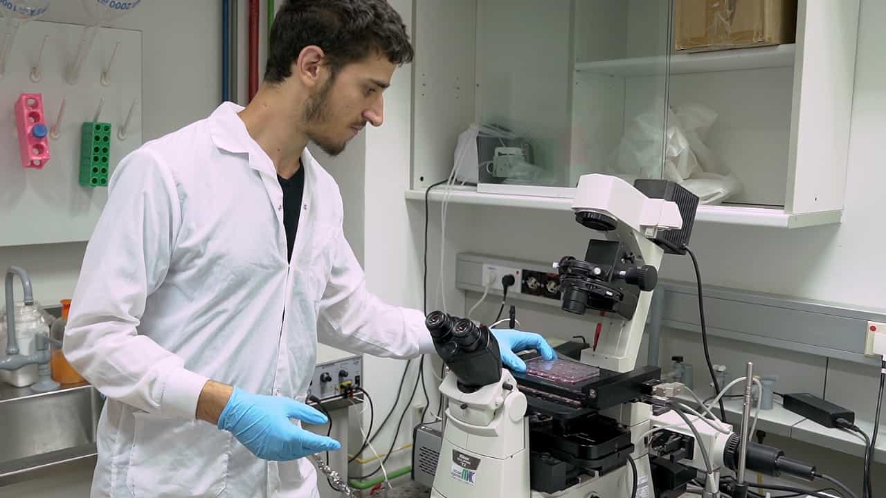 Author Spotlight: Exploring Cellular Zinc Regulation Through ZnT1 Functionality