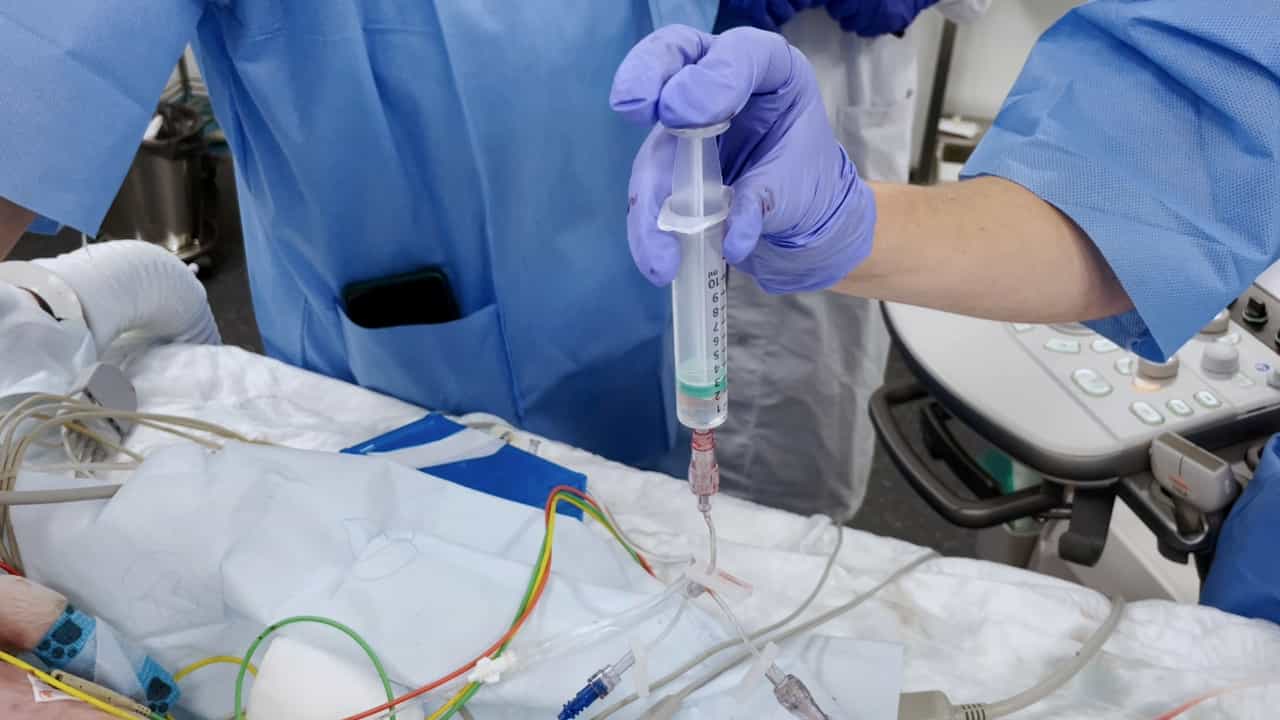 Author Spotlight: Simulating Pediatric Cardiac Surgery Using a Neonatal Piglet Model