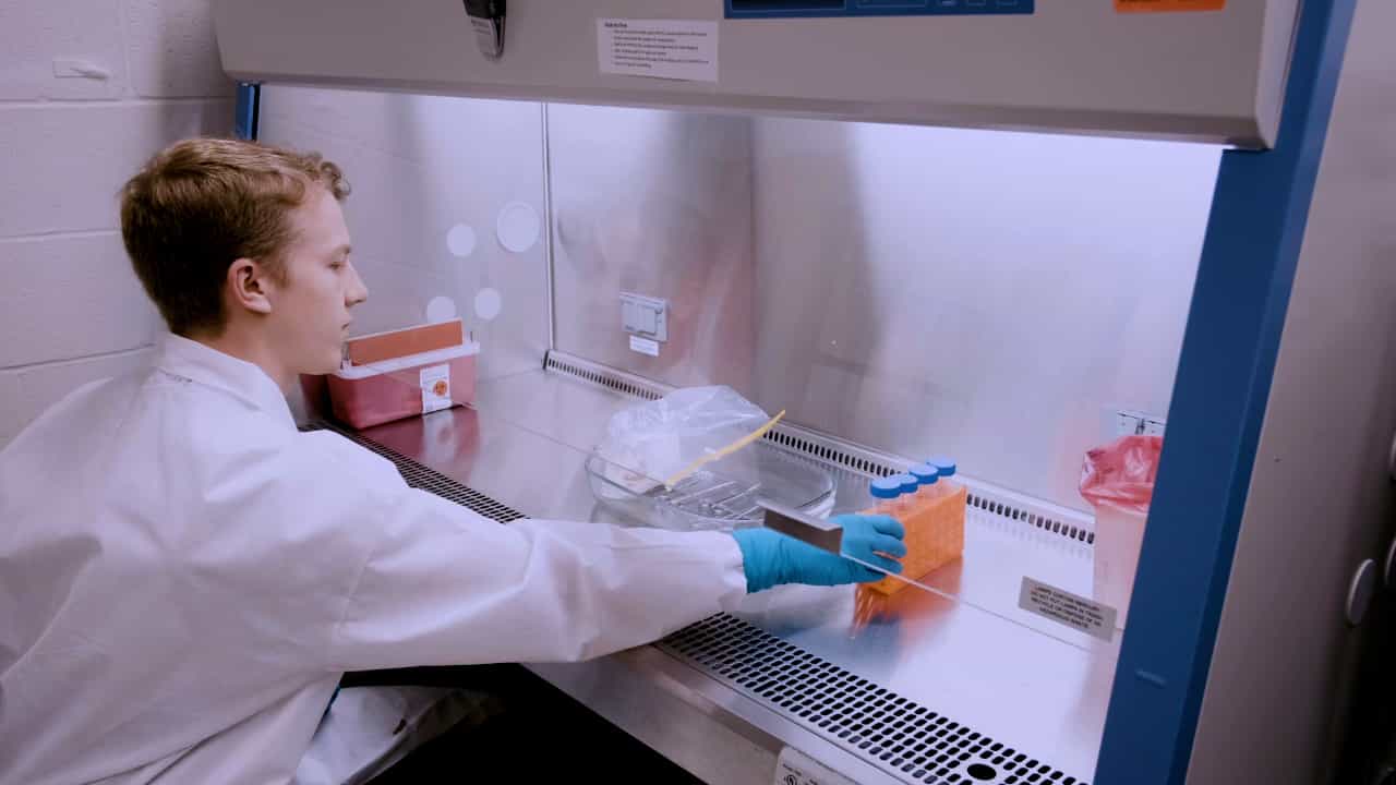 Author Spotlight: Dissection and Isolation of Region-Specific Decellularized Lung Tissue