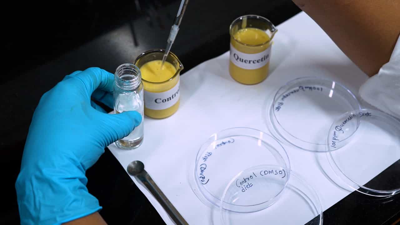 Author Spotlight: Development and Challenges of Feeding Assays for Insect Pest Management