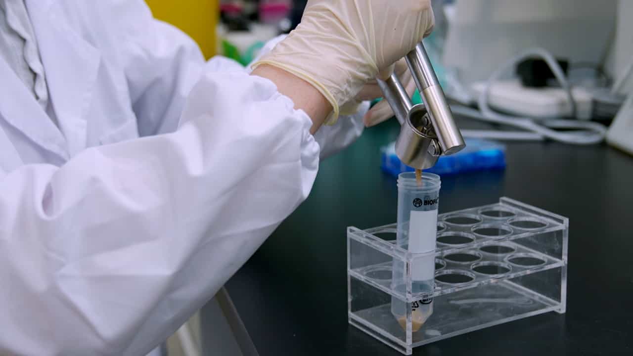 Author Spotlight: Optimizing the Rearing Procedure of Germ-Free Wasps
