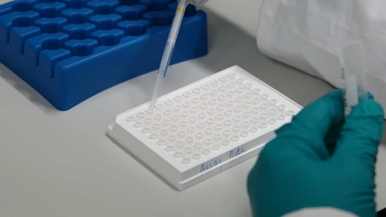 Author Spotlight: Expanding the Scope of Multiplex Immunoassays for Lyme Borreliosis Diagnostics and Pathogen Research