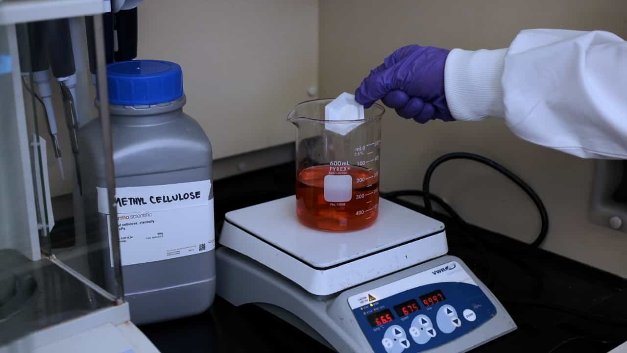 Author Spotlight: Shear Assay Protocol for the Determination of Single-Cell Material Properties