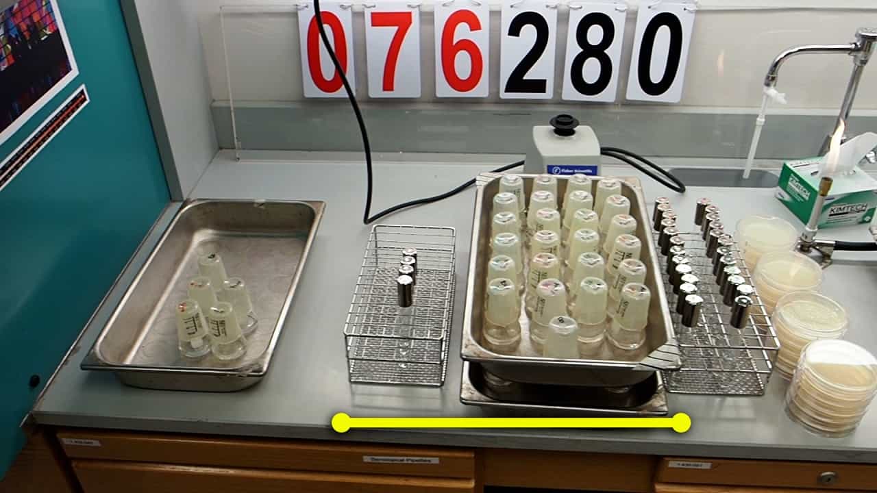 Daily Transfers, Archiving Populations, and Measuring Fitness in the Long-Term Evolution Experiment with Escherichia coli