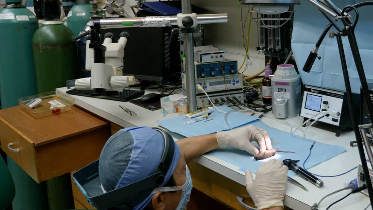 Author Spotlight: Innovative Techniques and Future Directions in Stroke Research