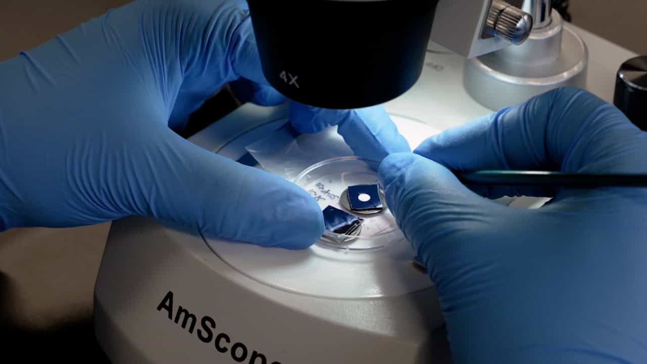 Author Spotlight: Advances in Nanoscale Infrared Spectroscopy to Explore Multiphase Polymeric Systems