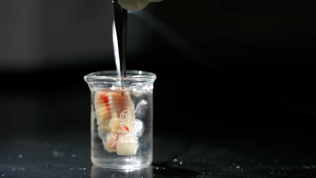 Author Spotlight: Advancing Spinal Cord Stimulation - Exploring the Cellular Responses of Motor Neurons Through Patch-Clamp Electrophysiology