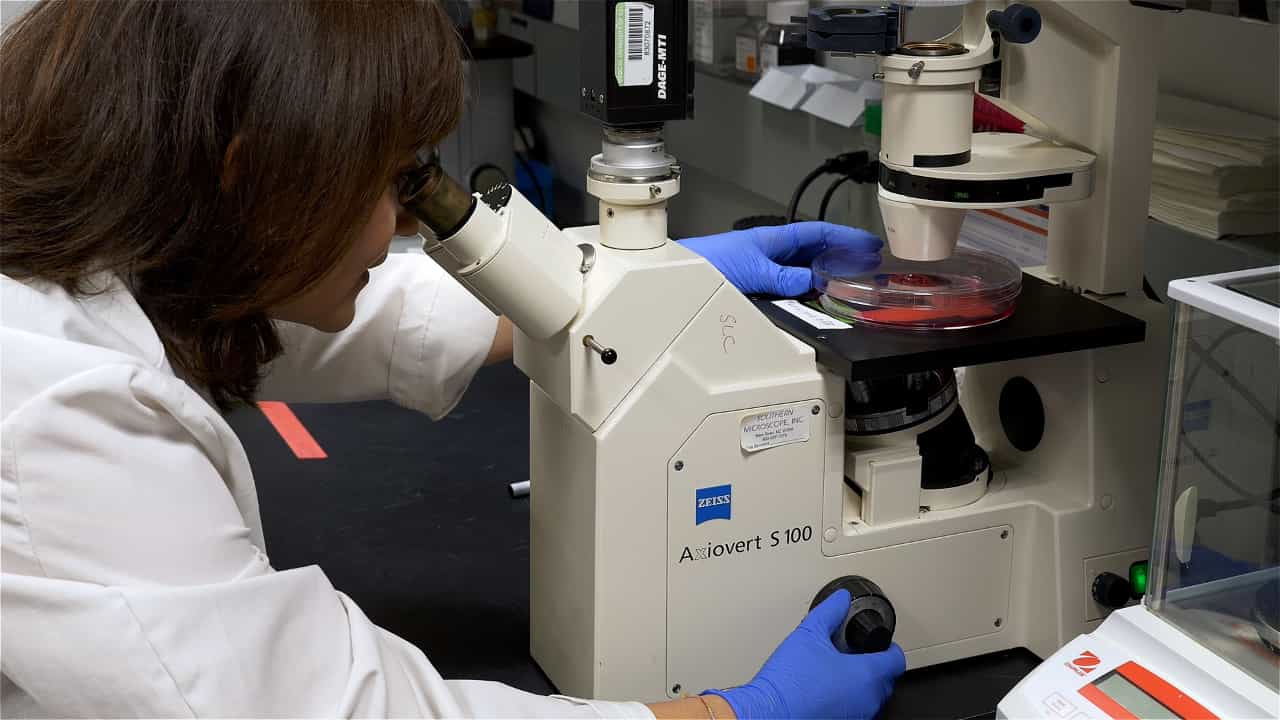 Author Spotlight: Finding New Therapeutic Targets for Malignant Peripheral Nerve Sheath Tumor Through Genome-Scale shRNA Screens
