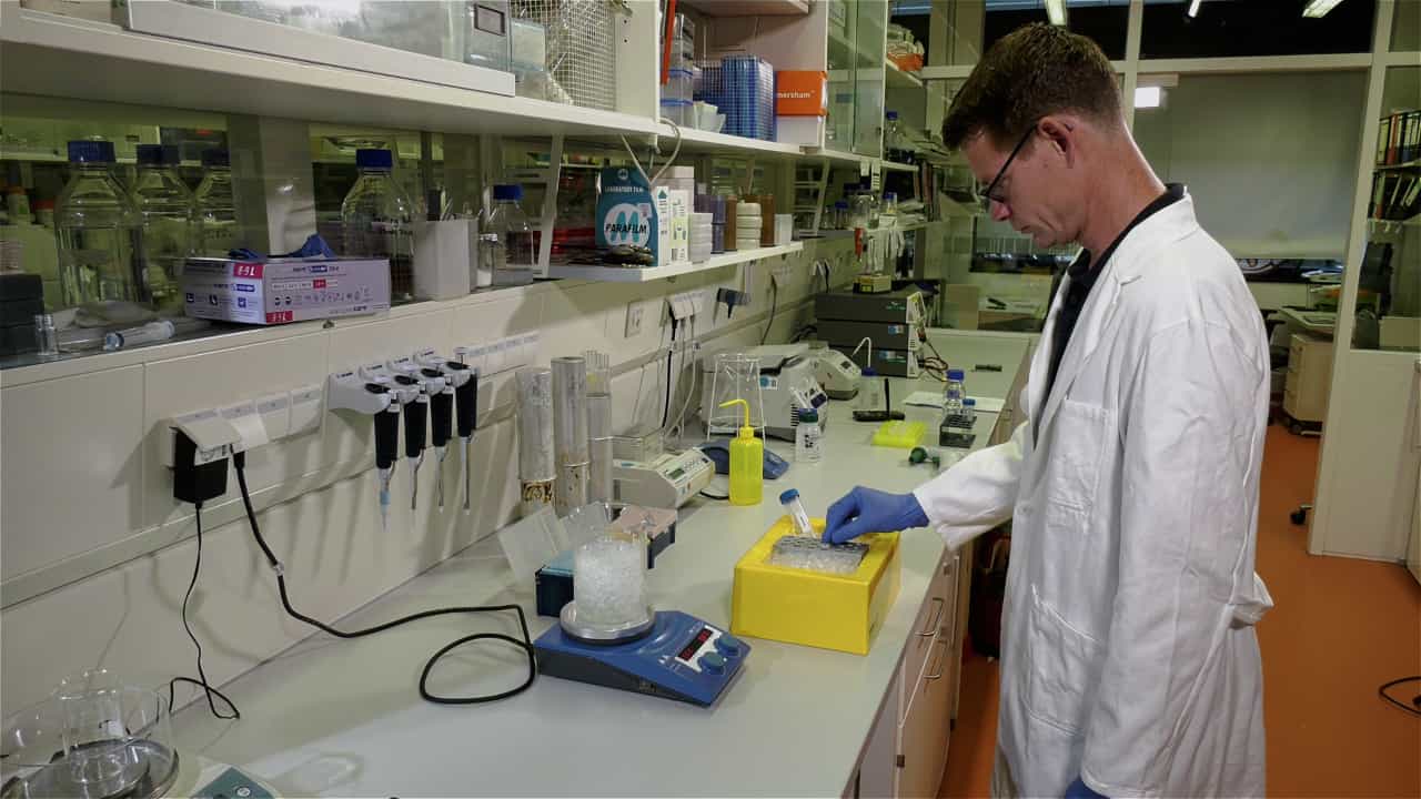 Author Spotlight: Unveiling Mitochondrial Contact Sites and Architectural Insights