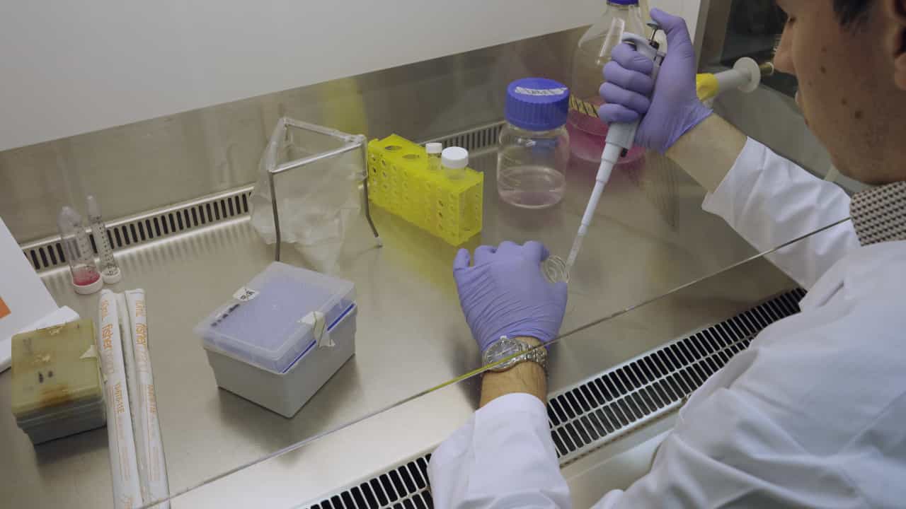Author Spotlight: An Optimized Automated Method for Investigating Retinoic Acid Receptors in Neuronal Mitochondria