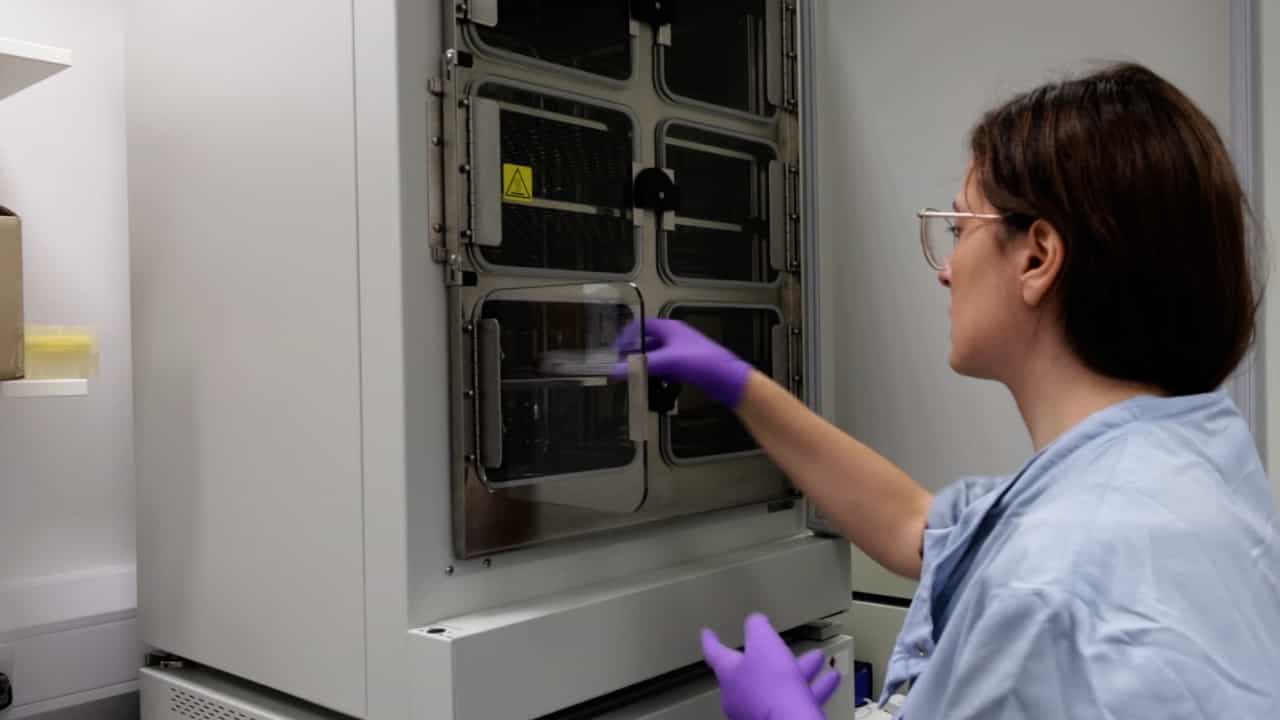 In Vitro Model of Fetal Human Vessel On-chip to Study Developmental Mechanobiology