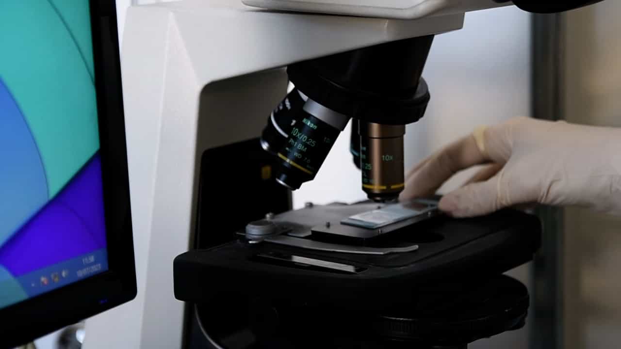 Author Spotlight: Advancing Male Infertility Research by Unraveling Sperm Metabolism and Mitochondrial Function