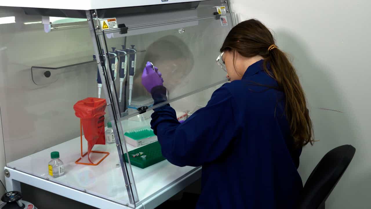 Author Spotlight: Addressing Regulatory Gaps in Molecular Studies by Quantifying Viral Vectors in Complex Matrices