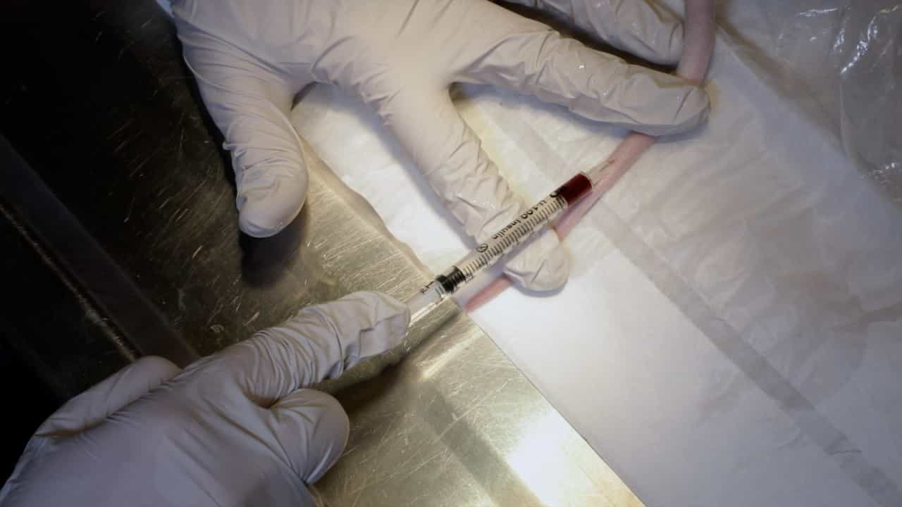 Author Spotlight: Context Dependent Blood Collection Methods in Rats