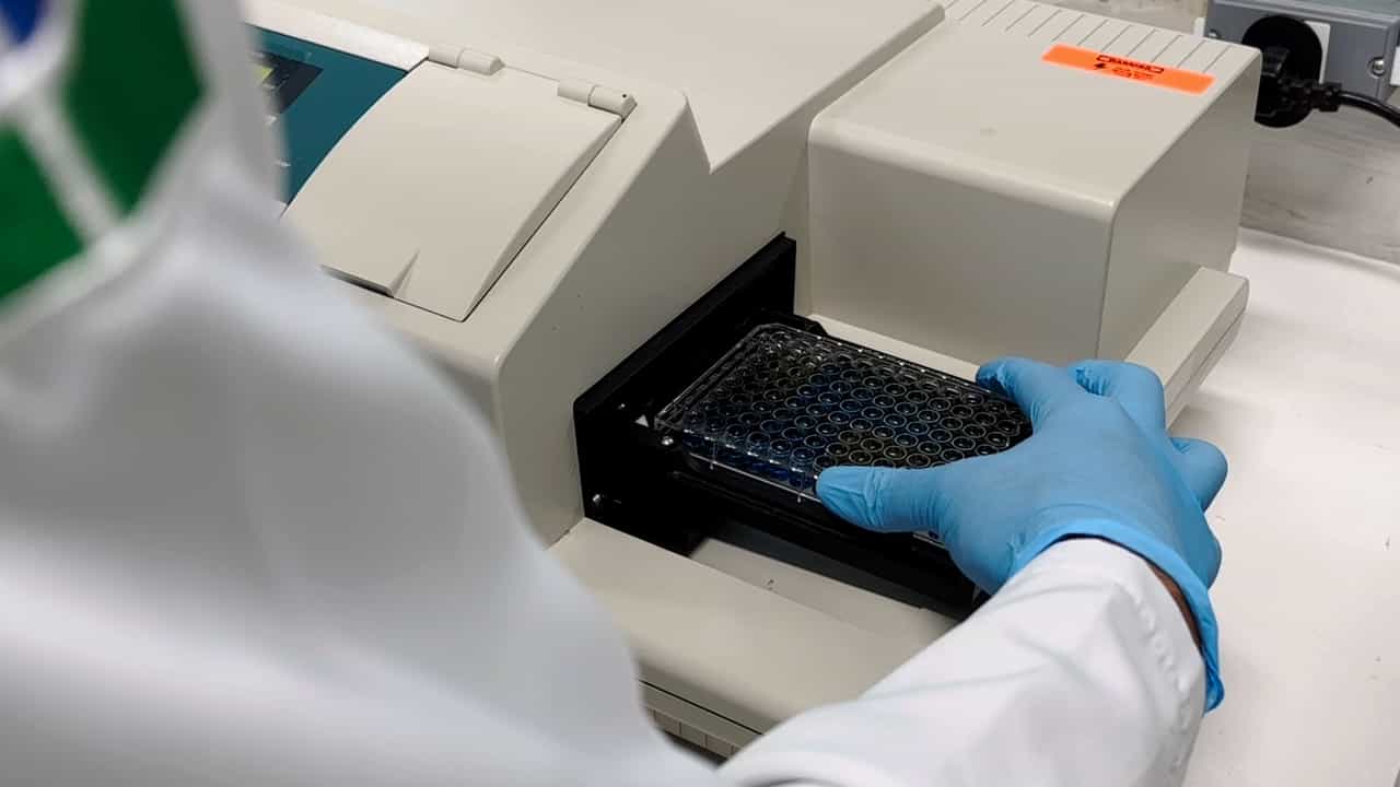 Author Spotlight: An Alternative Approach to Protein Quantification by Bradford Assay Using a Smartphone