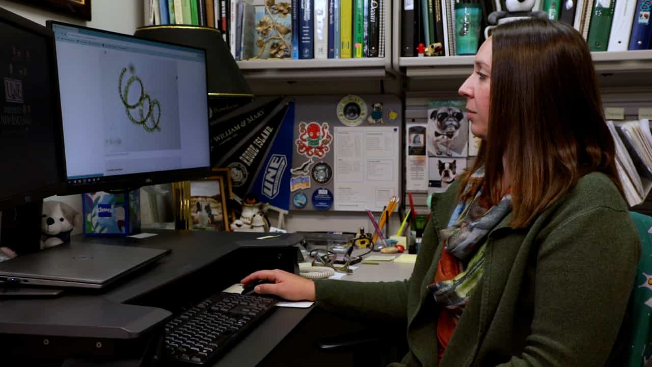 Author Spotlight: Unveiling Plankton Response to Climate Change Through Time-Series Data and Artistic Expression