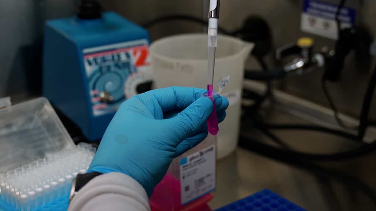 Author Spotlight: Unveiling the Potential of Unpurified Recombinant AAVs in Cell Culture Research