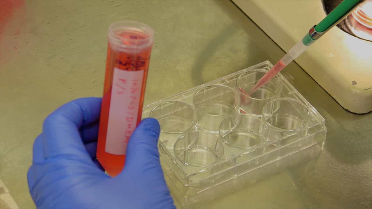 Using Avian Skin Explants to Study Tissue Patterning and Organogenesis