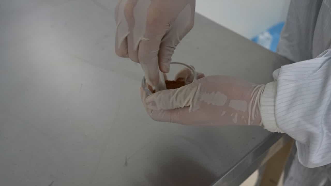 Du-Moxibustion in a Mouse Model of Ankylosing Spondylitis