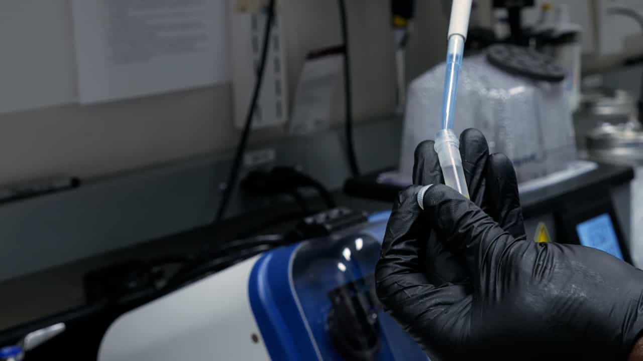 Author Spotlight: Exploring the Fermentation Microbiome Through Next-Generation Sequencing