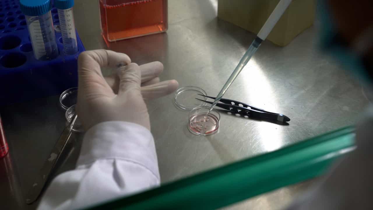 Author Spotlight: Standardizing Limbal Niche Cell (LNC) Isolation and Characterization to Support Widespread LNC Research