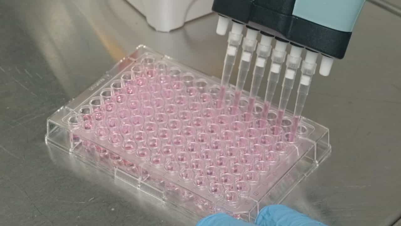 Author Spotlight: Studying Host-Virus Interactions with Pseudotyped Viruses