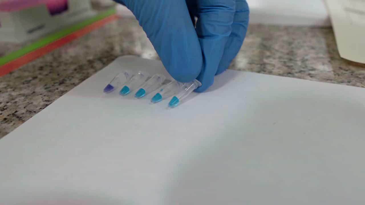 Author Spotlight: Advancing Pathogen Diagnostics with Standardized LAMP