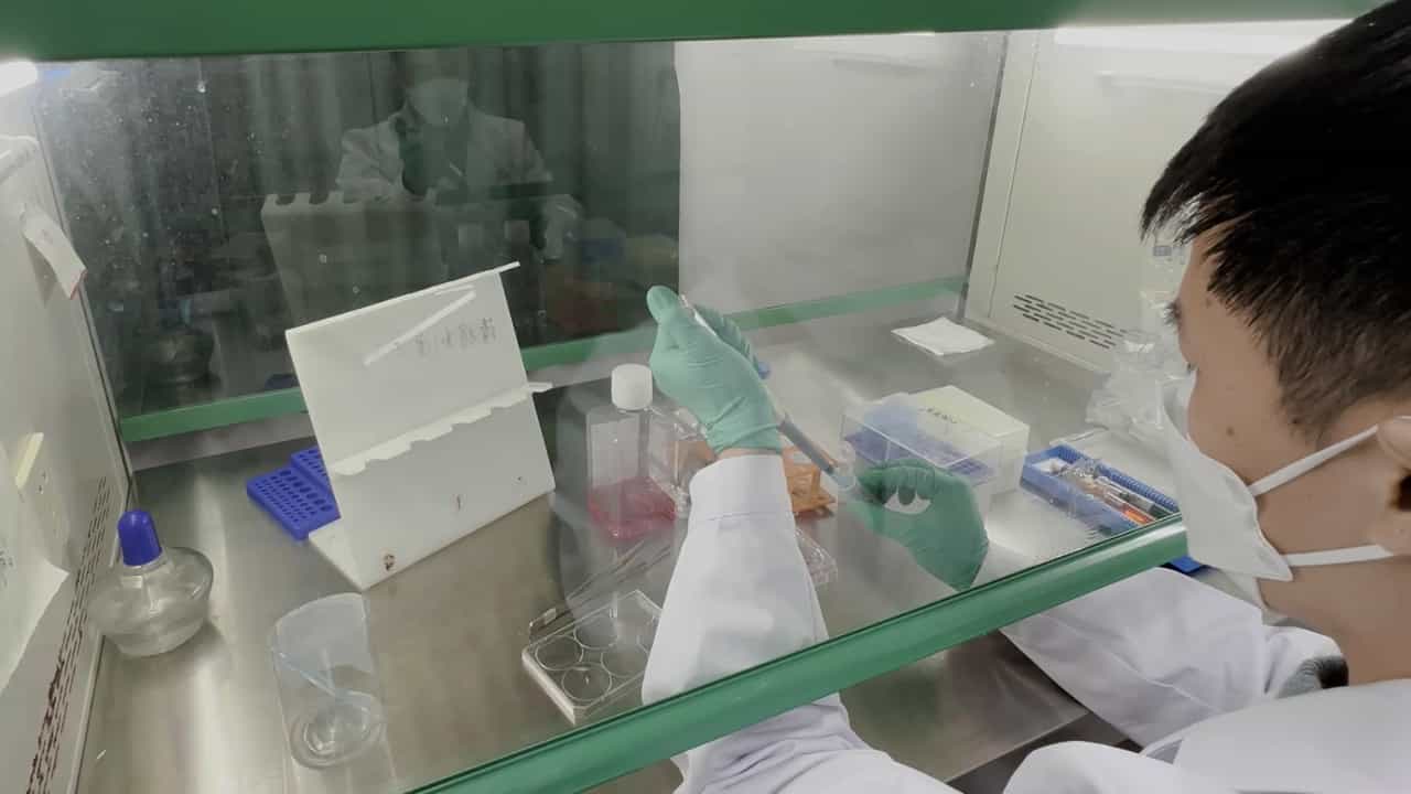 Author Spotlight: Exploring the Role of FAM83A in Cervical Cancer