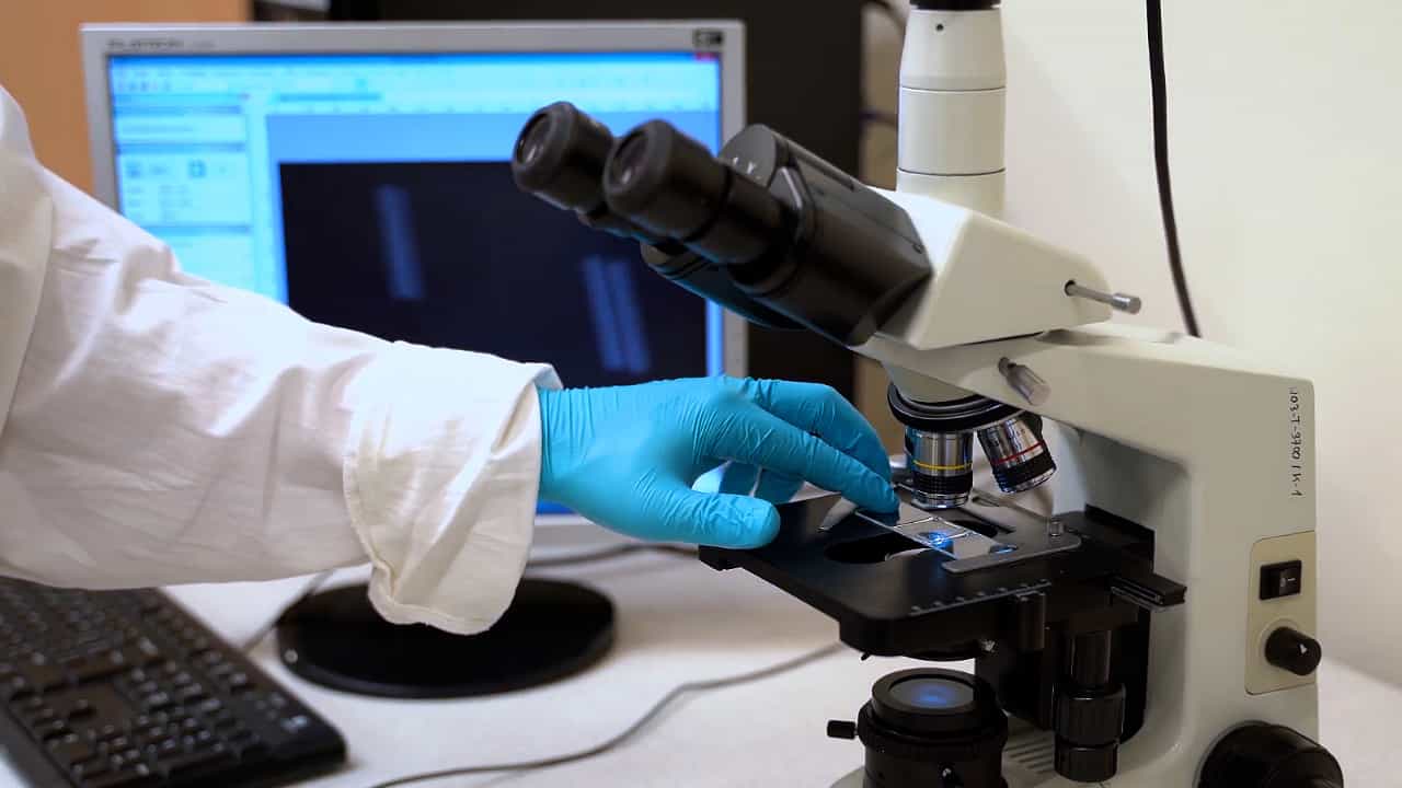Author Spotlight: Non-Invasive Imaging of Complex Bio-Structures Using Polarization-Sensitive Two-Photon Microscopy
