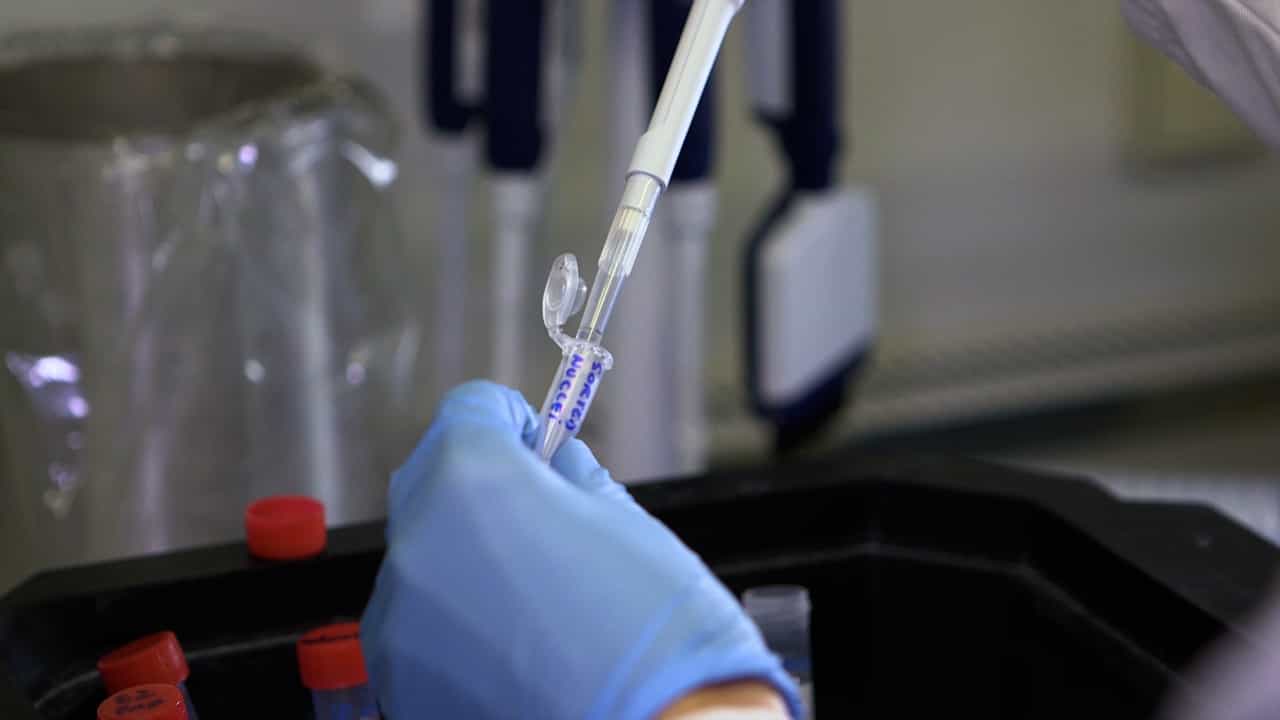 Author Spotlight: Advancing Biomedical Research Through Single Cell Analysis