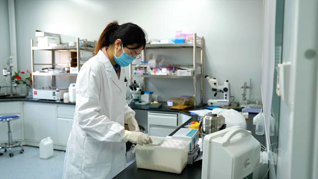 Author Spotlight: Investigating the Potential of Chinese Herbal Medicinal Active Dioscin in Treating IgA Nephropathy