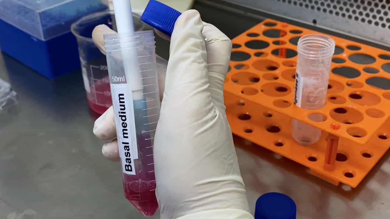 Author Spotlight: Advancing Treatment Approaches with Adipose-Derived Stem Cells