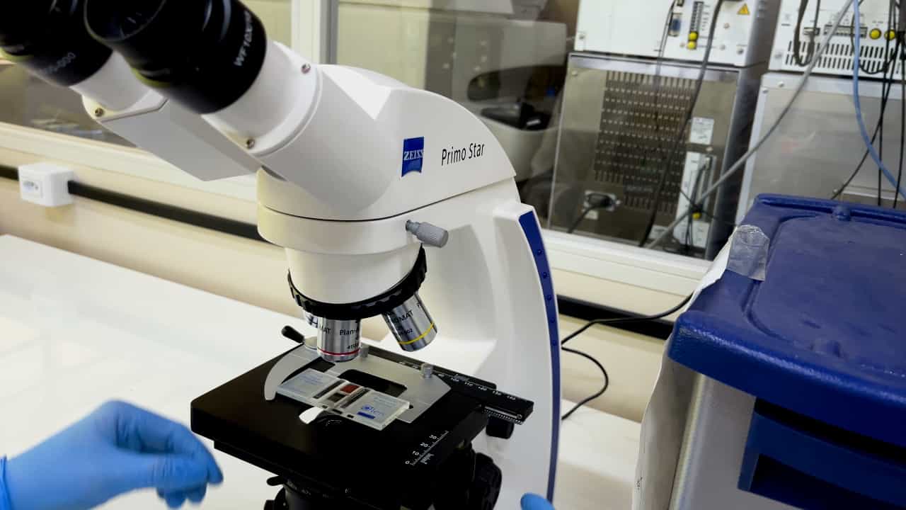 Author Spotlight: Assessing Pain and Promoting Animal Welfare in Laboratory Animals Infected with Trypanosoma evansi
