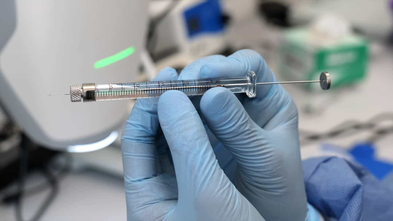Author Spotlight: Intrathecal Injection – An Efficient and Reliable Delivery Method to Test the Efficacy of Gene Editing in Neonatal Mouse Brains