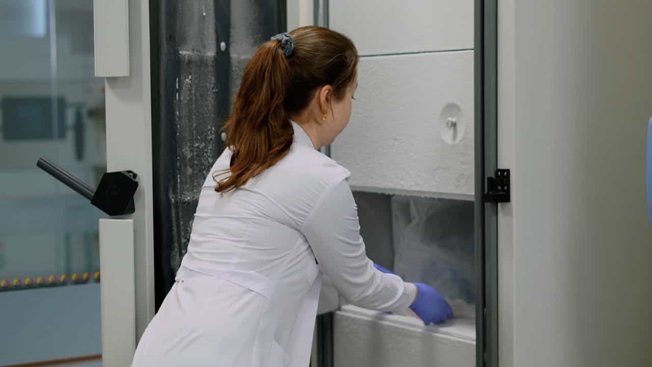 Author Spotlight: Optimizing Bovine Lung Decellularization for Organotypic Hydrogels