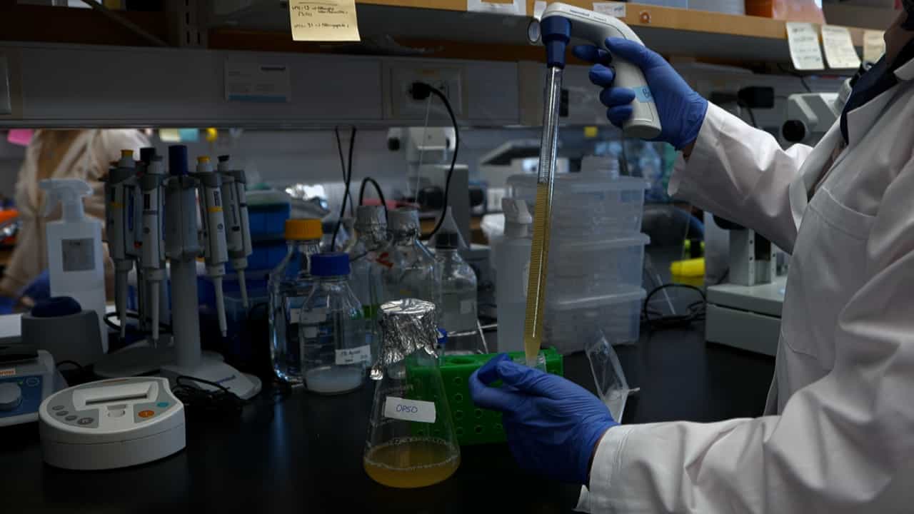 Methodology to Metabolically Inactivate Bacteria for Caenorhabditis elegans Research