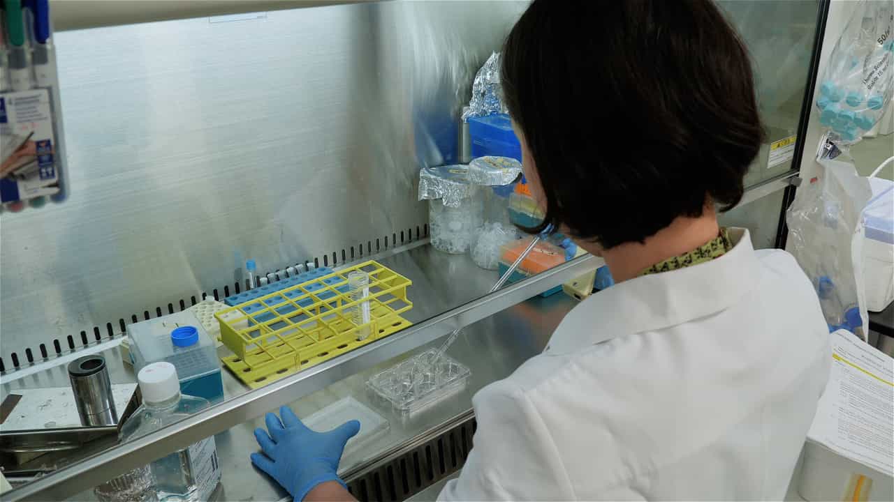 Author Spotlight: Advancing Hepatocyte Purification from Human Induced Pluripotent Stem Cells for Regenerative Medicine