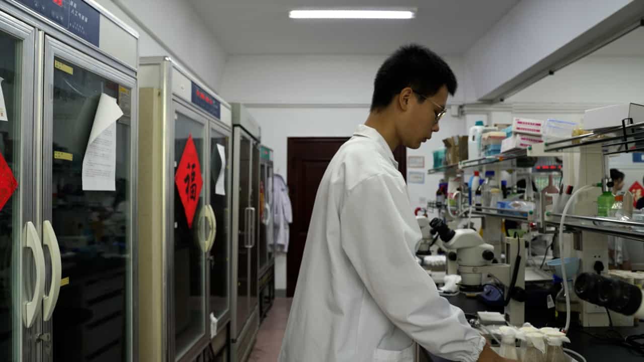 Author Spotlight: Overcoming Challenges in Drosophila Sleep Measurement Using DAM System