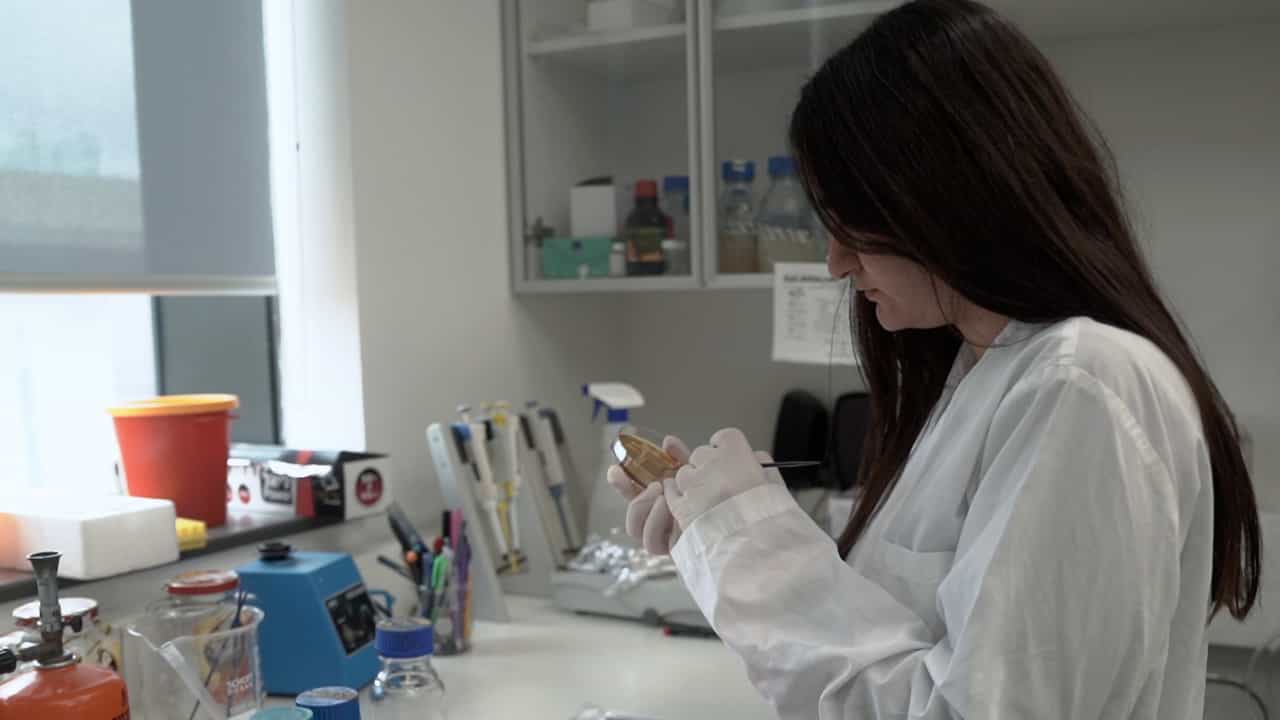 Author Spotlight: Advancing Research in Microbial Autoaggregation Using Imaging Flow Cytometry
