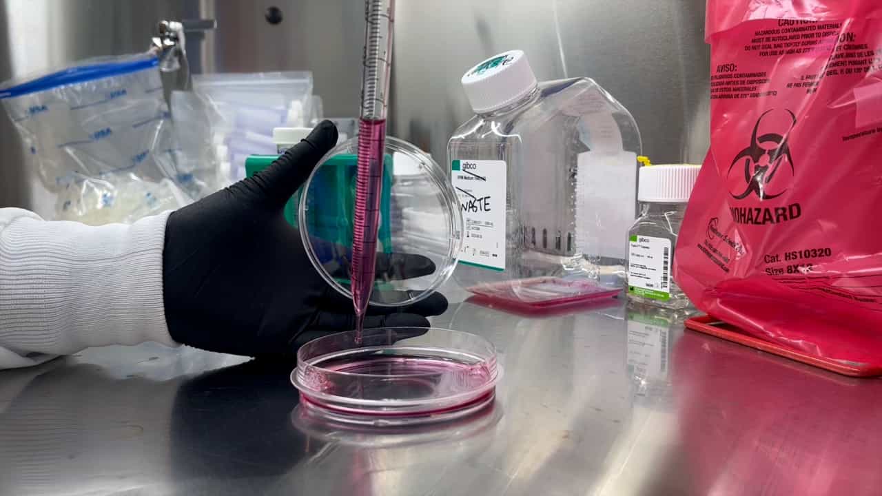 Author Spotlight: A Pseudotype Virus System for Assessing Omicron Subvariants and Neutralizing Antibodies in SARS-CoV-2 Research