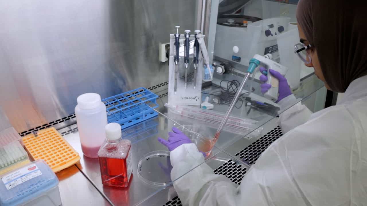 Reprogramming Pancreatic Ductal Adenocarcinoma to Pluripotency