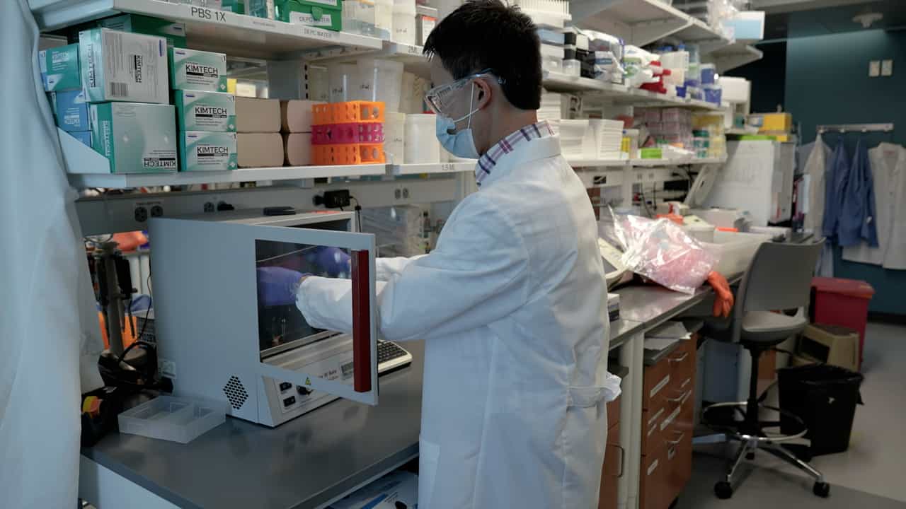Extracellular Vesicle Tissue Factor Activity Assay