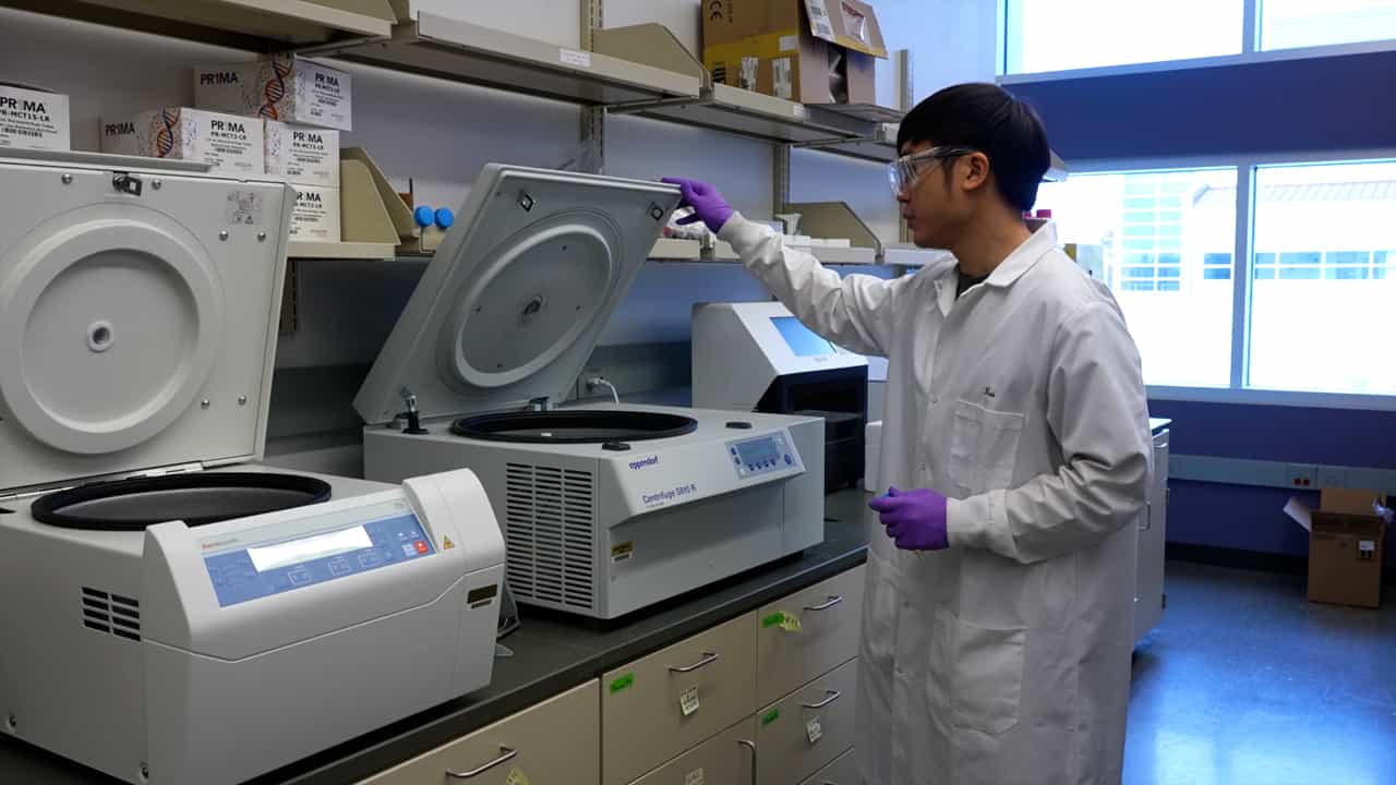 Author Spotlight: Advancing EVtrap for High-Throughput Proteomics in Disease Biomarker Discovery