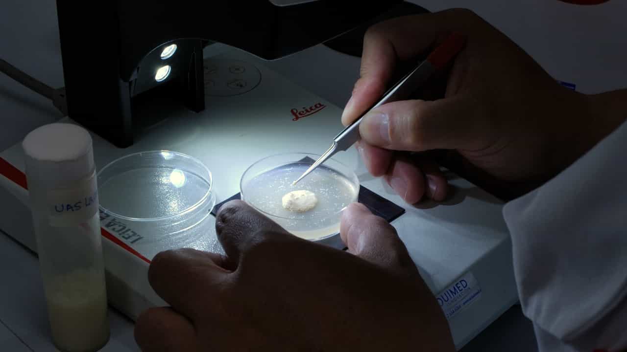 Author Spotlight: Advances in Brain Energy Metabolism Research Using the Drosophila Model