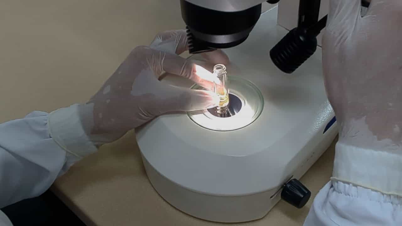 Author Spotlight: Isolation of Long Muscle Fibers from Mouse Hindlimb Muscles for Studying Excitation-Contraction Coupling Across Fiber Types