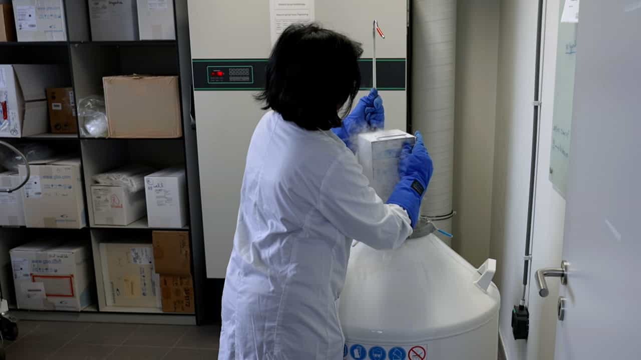 Author Spotlight: Cryopreservation of Whole Blood Samples for High Throughput Analysis